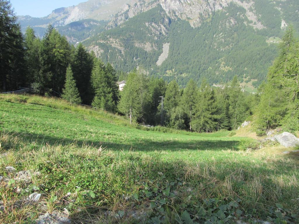Cervino Valley House Rododendro بيريوِل تْشيرفينيا الغرفة الصورة